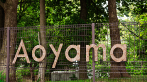 【国際ハイエンド拠点化】坪単価900万円時代の南青山：グローバル企業と富裕層に選ばれる「オフィス・レジデンス」の条件